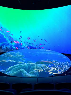 Aquarium Of The Pacific   Honda Pacific Visions Theater